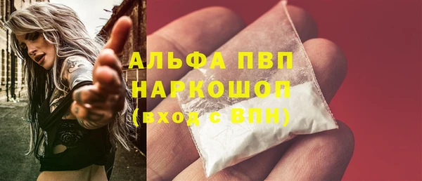 индика Абаза