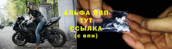 индика Абаза