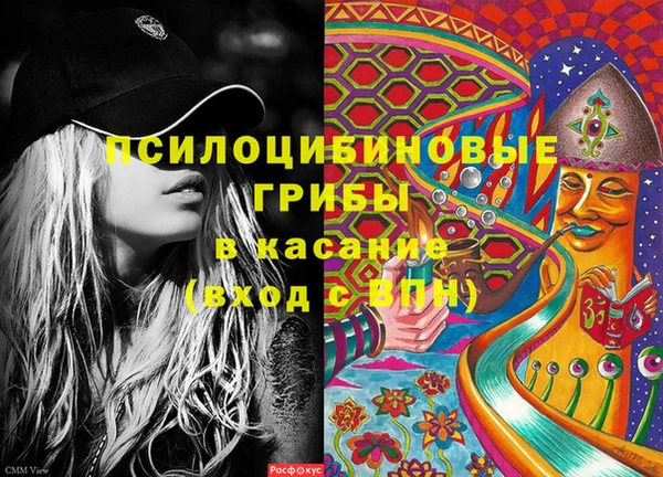 индика Абаза