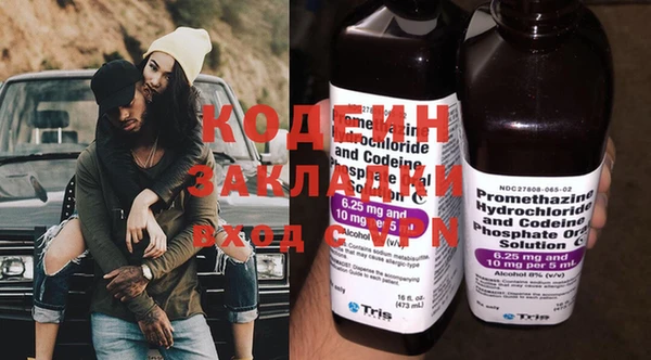 индика Абаза