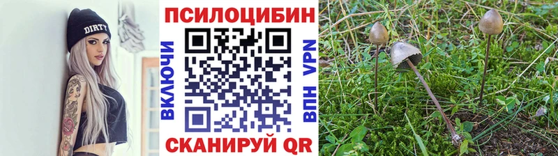 купить наркотики цена  Челябинск  Галлюциногенные грибы MAGIC MUSHROOMS 