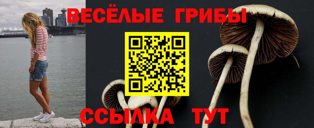 хочу   Галлюциногенные грибы ЛСД  Вход с VPN  Челябинск 